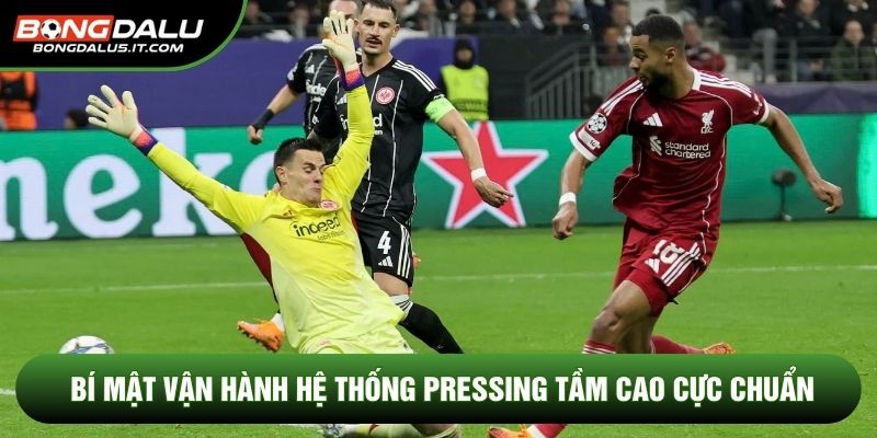 Bí mật vận hành hệ thống pressing tầm cao cực chuẩn