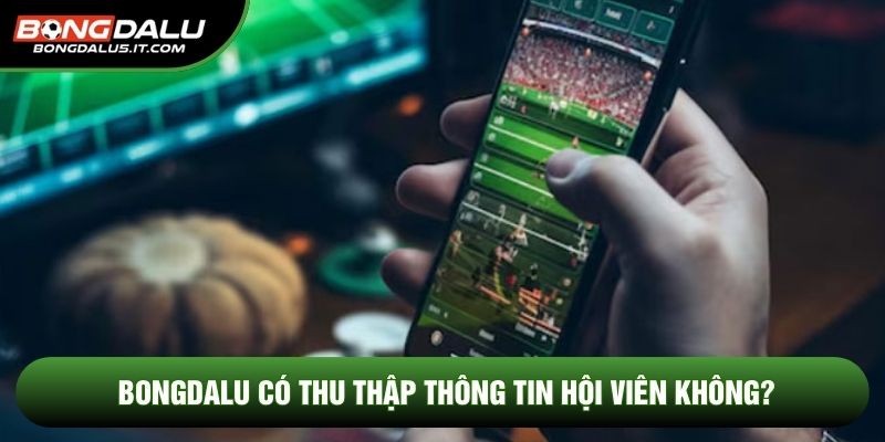Bongdalu có thu thập thông tin hội viên không?