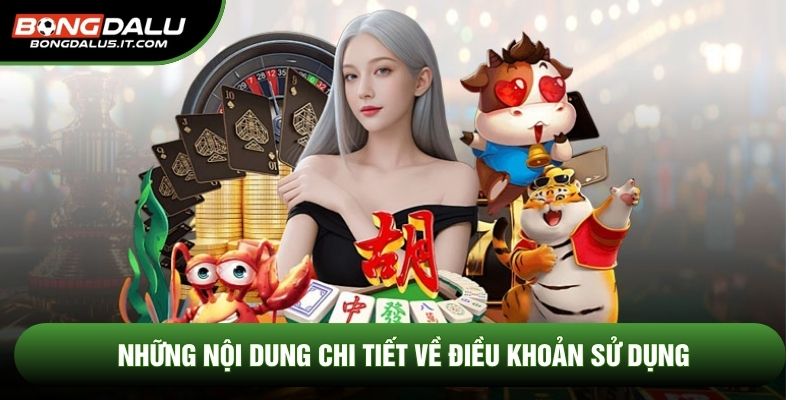 Những nội dung chi tiết về điều khoản sử dụng