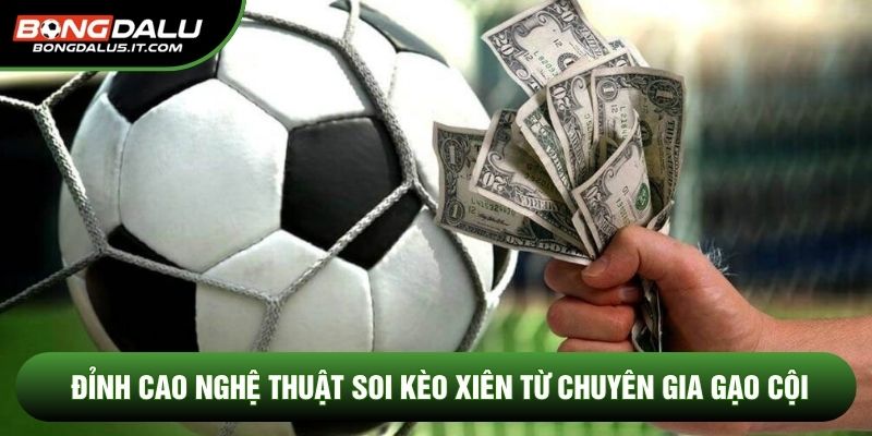Đỉnh cao nghệ thuật soi kèo xiên từ chuyên gia gạo cội