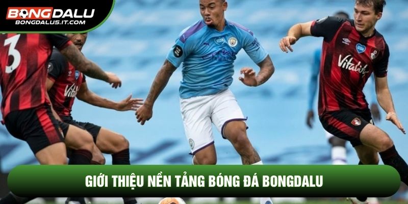 Giới thiệu nền tảng bóng đá Bongdalu 