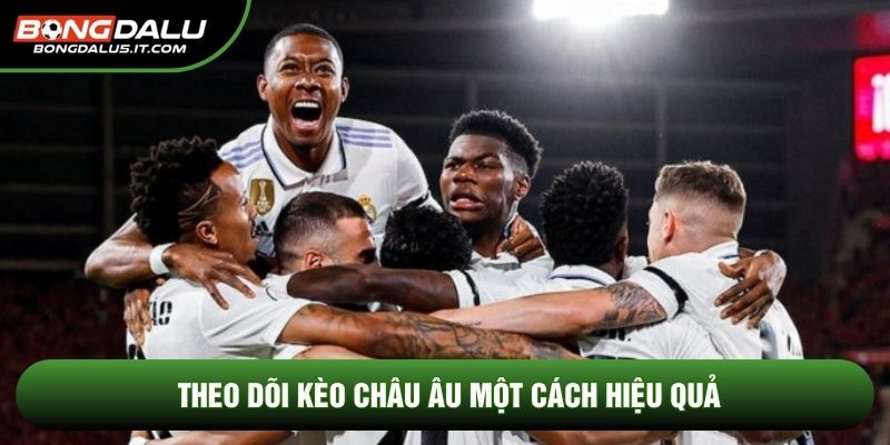 Theo dõi kèo châu âu một cách hiệu quả