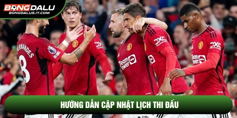 Hướng dẫn cập nhật lịch thi đấu