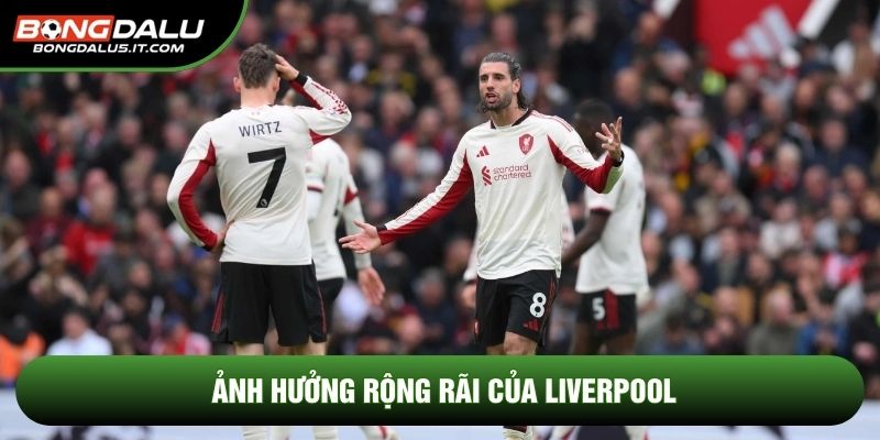 Ảnh hưởng rộng rãi của liverpool