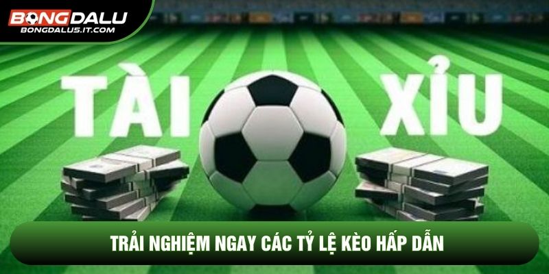 Trải nghiệm ngay các tỷ lệ kèo hấp dẫn