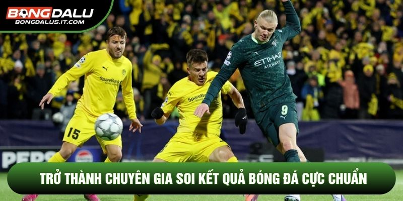 Trở thành chuyên gia soi kết quả bóng đá cực chuẩn